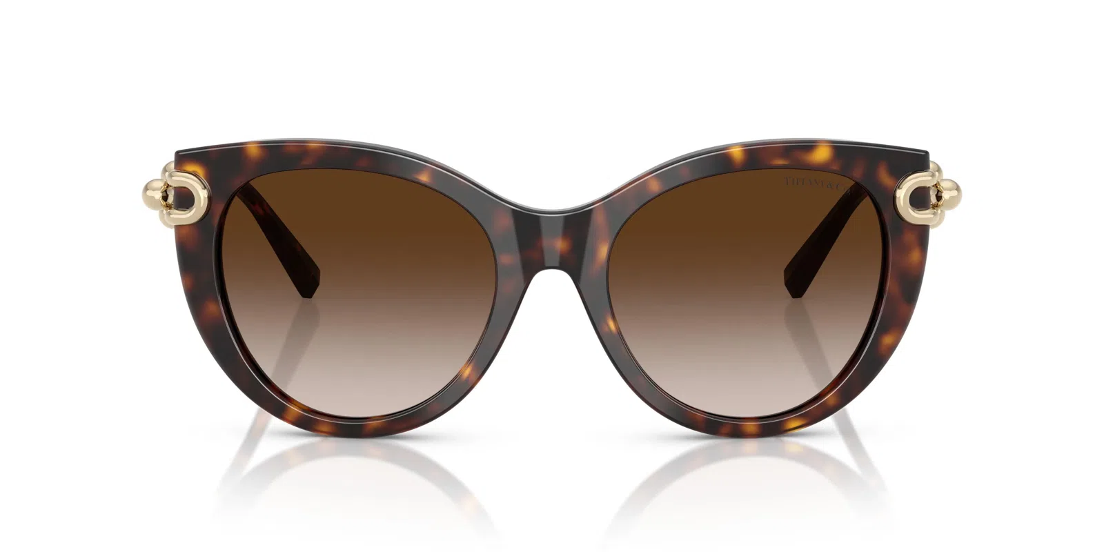 Tiffany 4232F Sunglasses - view 12